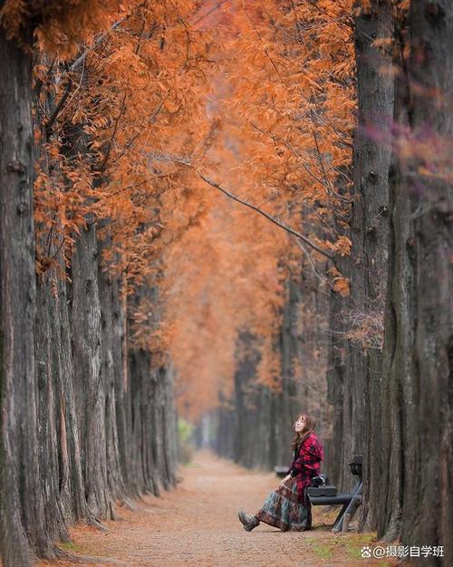 什么手机拍照效果最好排行榜