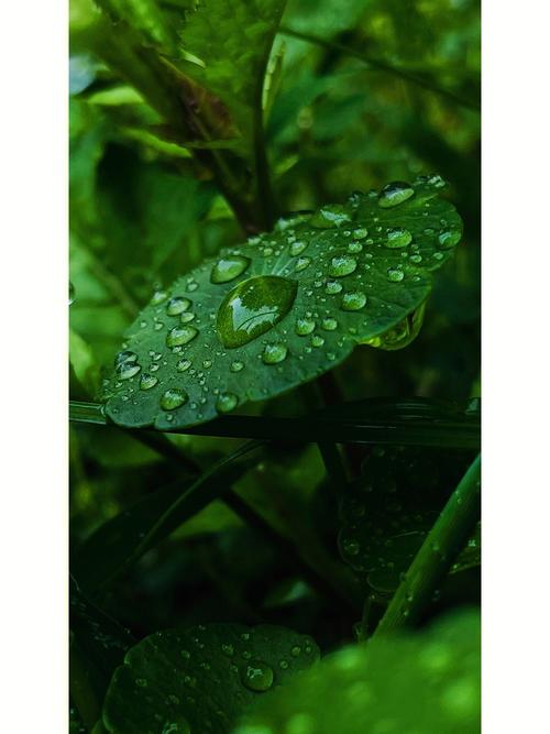 手机摄影拍照技巧创意摄影拍摄现场图3