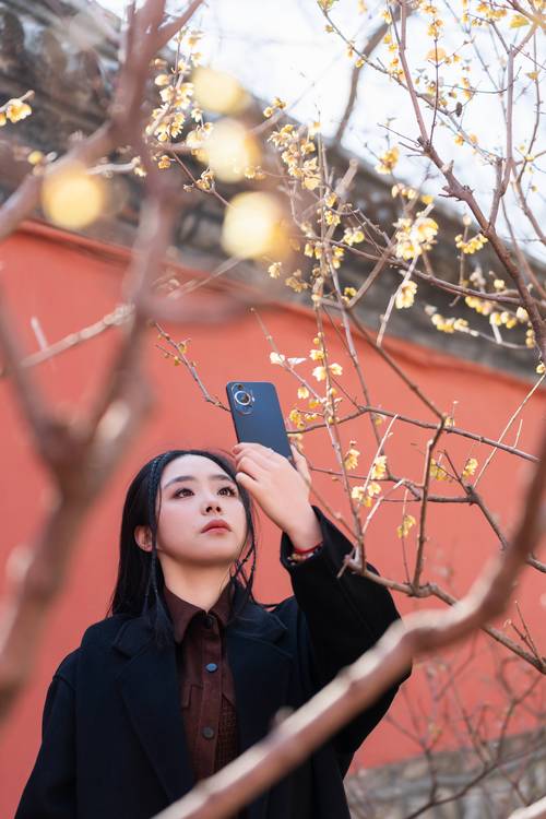 华为手机拍照效果最好图2