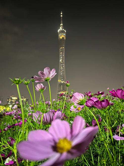 苹果13怎么拍照好看又清晰