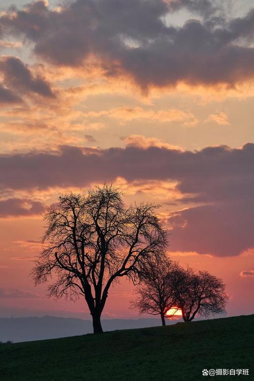 目前拍视频效果最好的手机