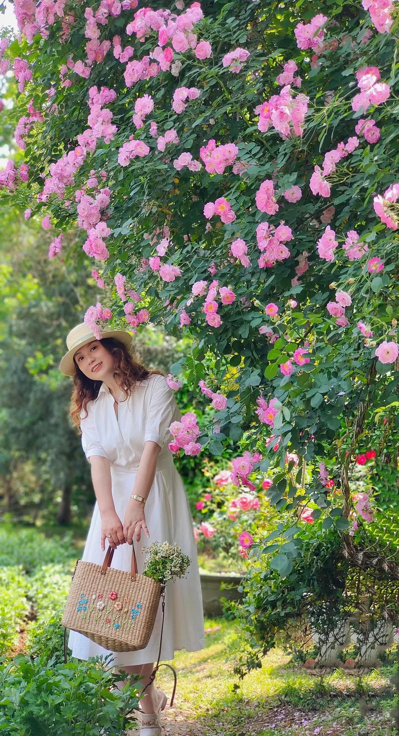 抖音拍花草风景打什么标签