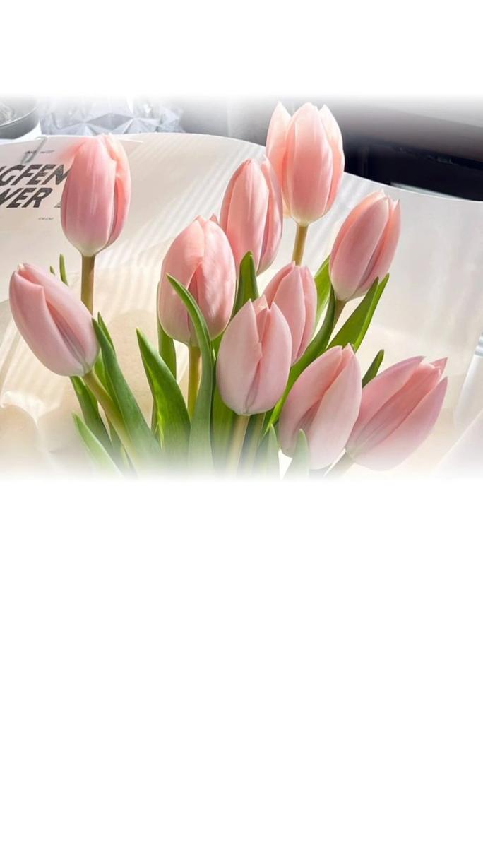 超好看的微信背景图片有哪些适合男生用的微信聊天背景图