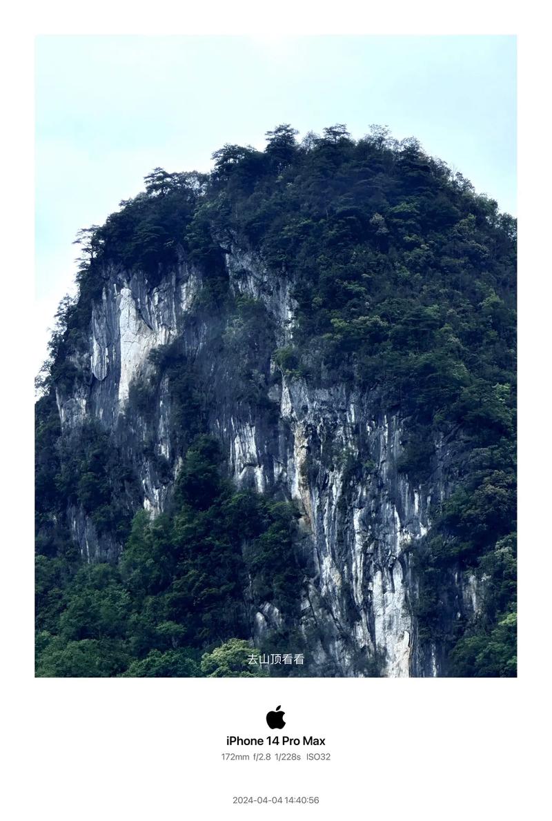 今日水印相机拍照不显示照片怎么回事