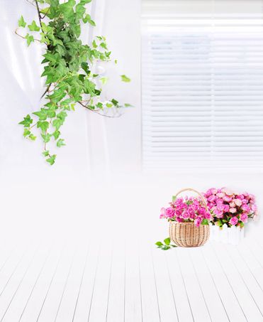 室内拍照背景图高清大图