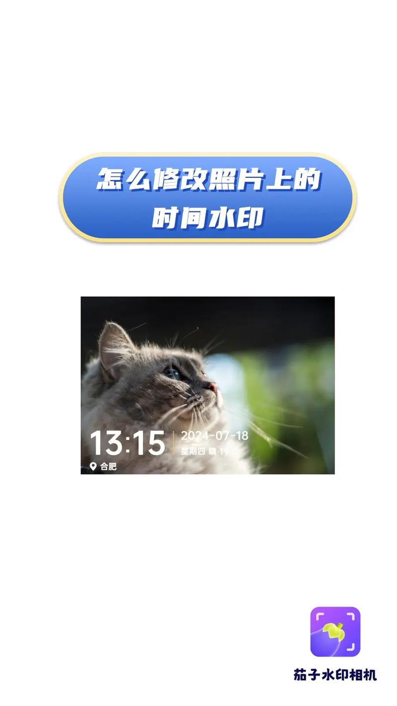 能改经纬度的水印相机图3