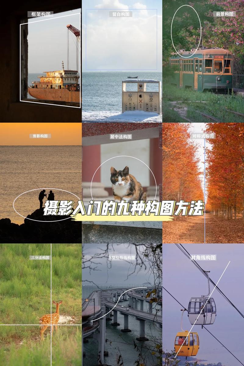 相机的拍摄技巧有哪些图2