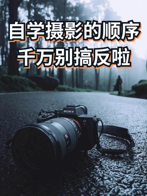 零基础学摄影!什么时间拍照好看?