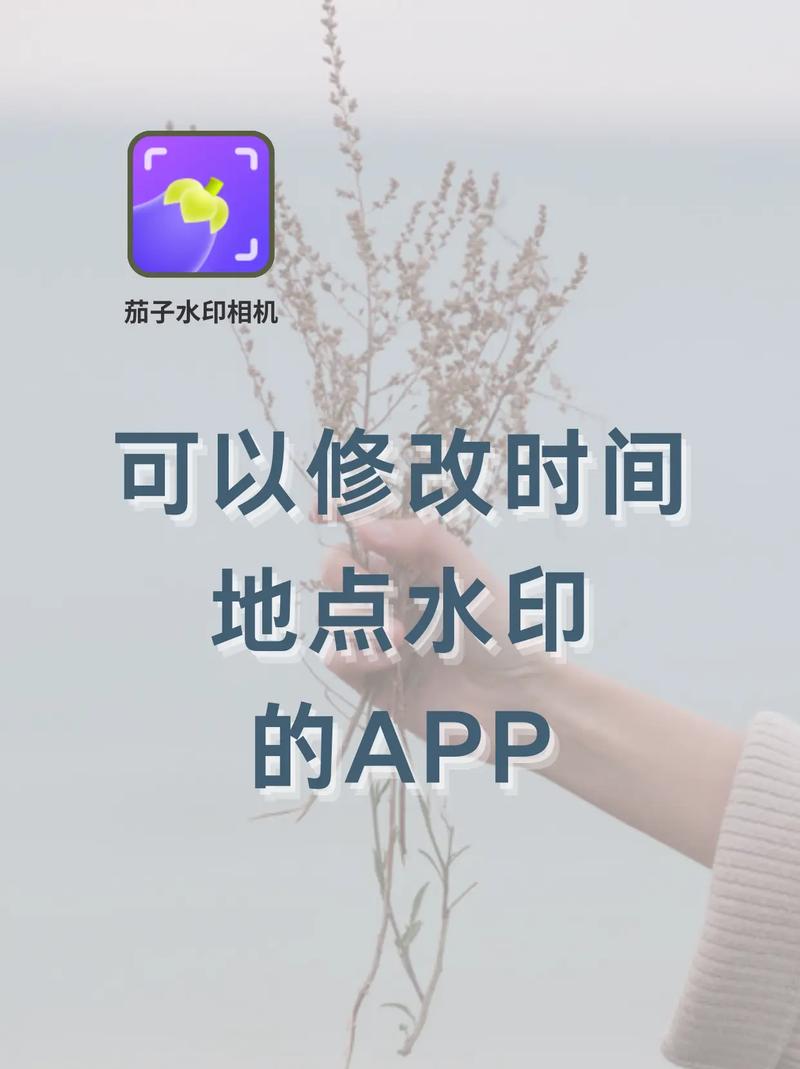 一键添加水印的相机的软件推荐有哪些-加水印相机的软件推荐