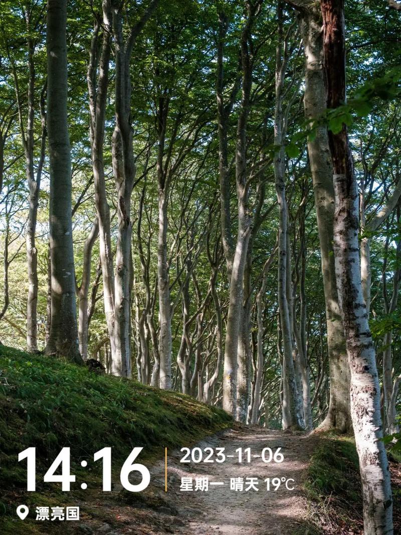 什么相机拍的照片有时间地点水印显示?