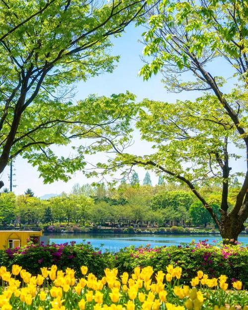 用手机拍摄风景照的技巧