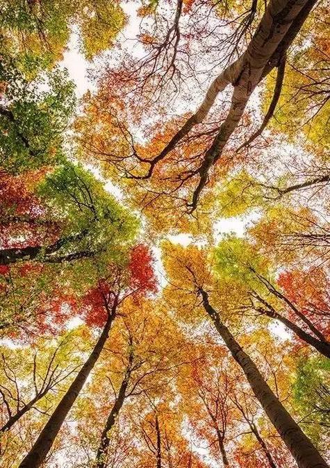 拍照什么角度最好看