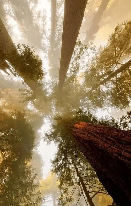 拍照什么角度最好看