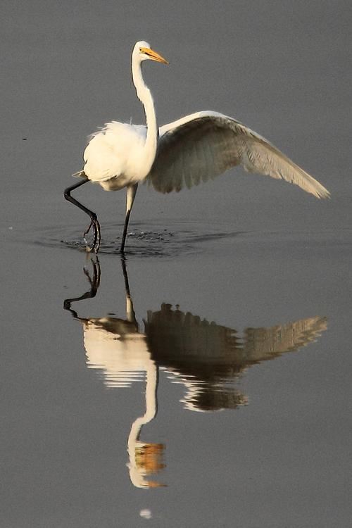 手机摄影怎么拍阳光捕影好看呢