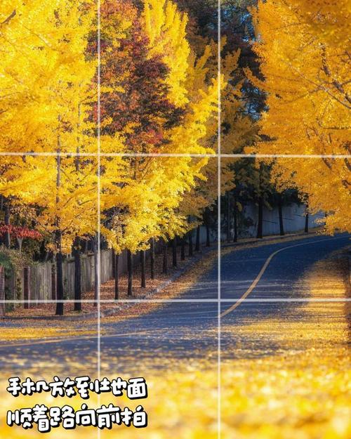 风光摄影的角度和方向有讲究吗?