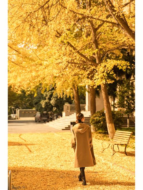 室内拍照背景图片素材大全