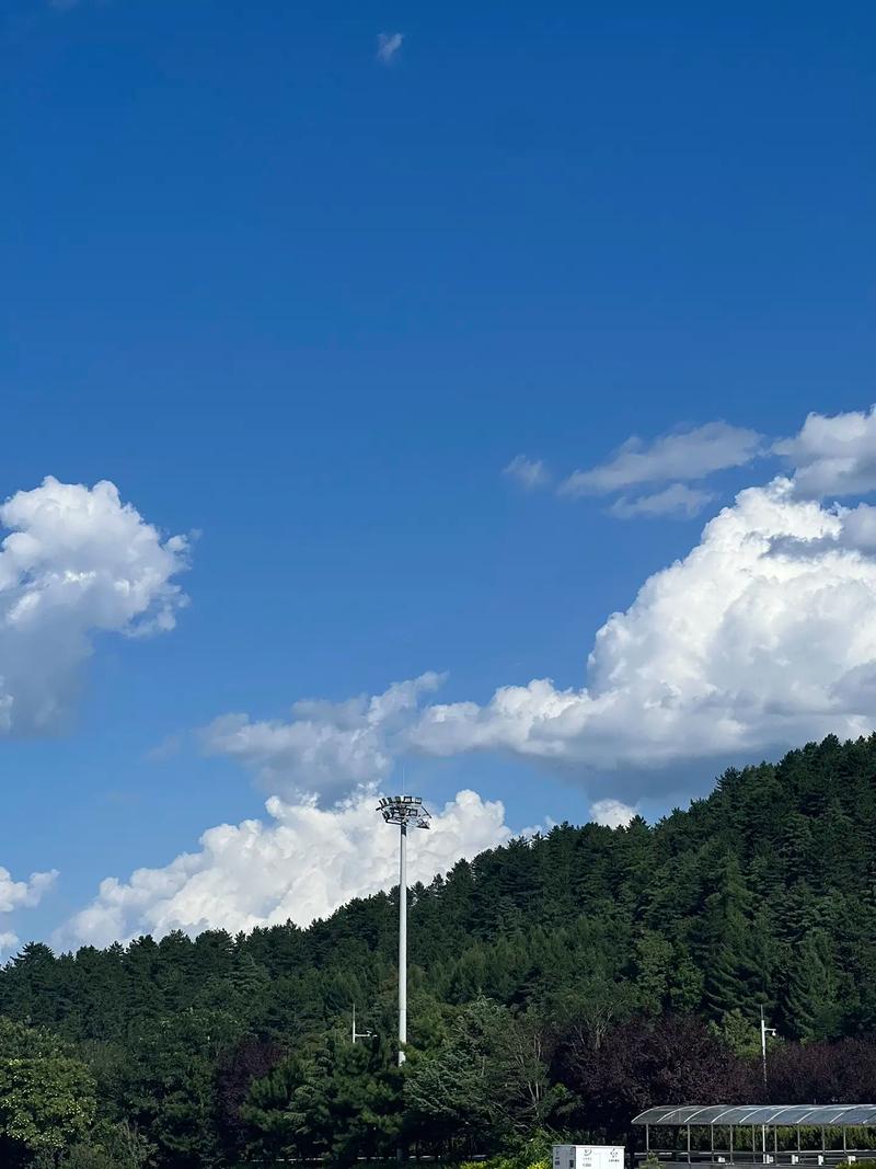 手机拍摄最好的手机是哪一款