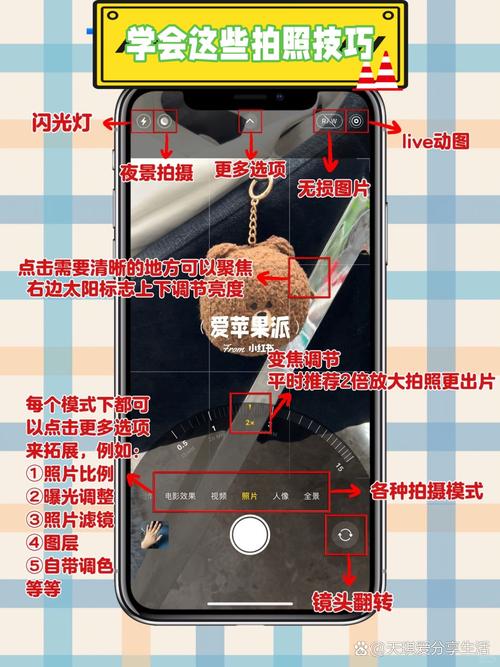 苹果原相机怎么调镜像?