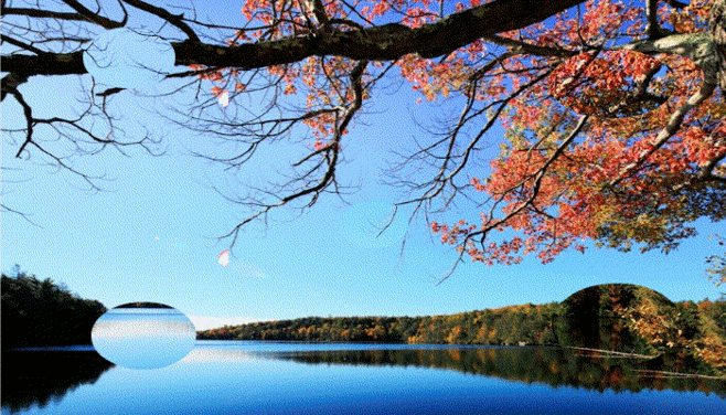 蓝橙动态花瓣图案背景商务PPT模板在怎么下载?