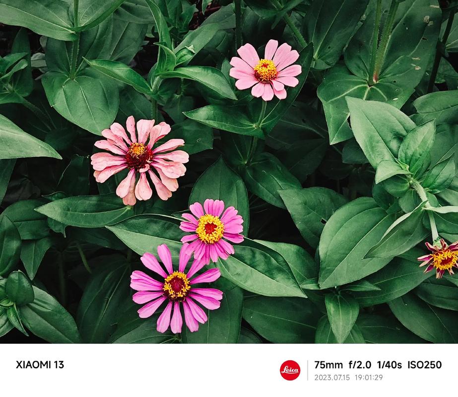 常用的水印相机