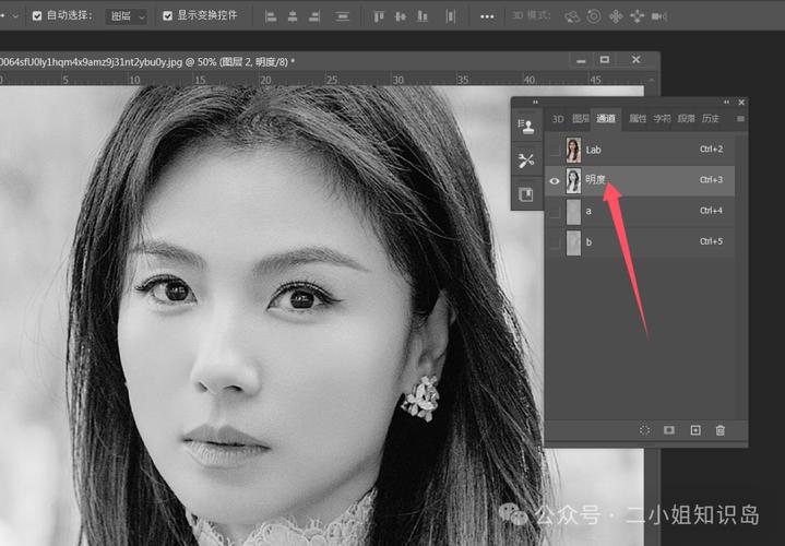 纯色背景人像照片