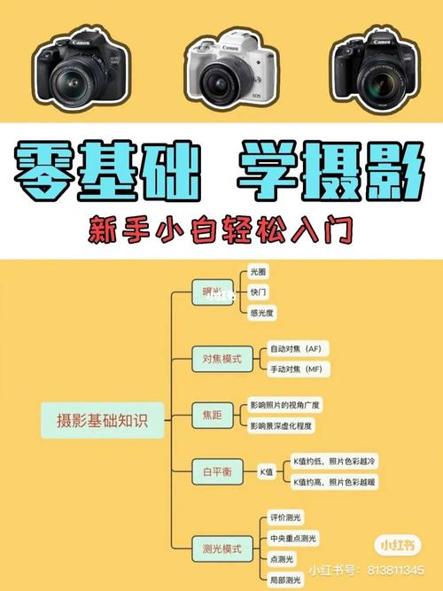 新手如何学摄影