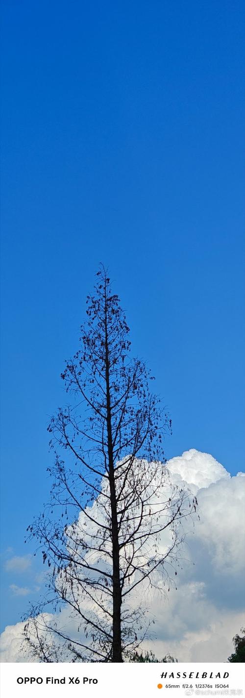 手机如何拍风景