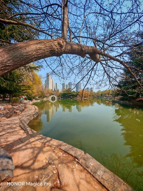 不打游戏拍照好的手机推荐