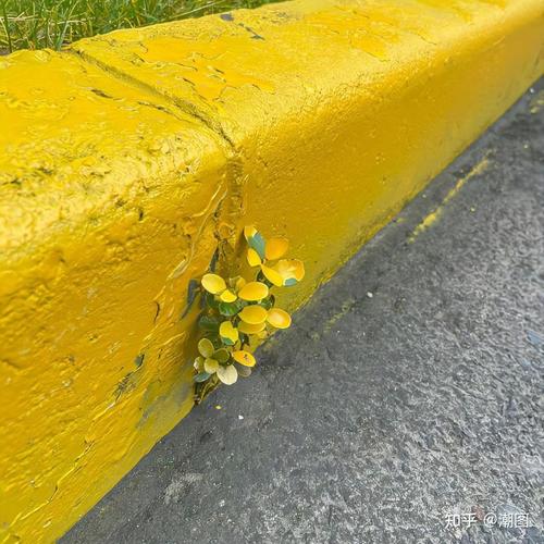 白色打底背景图