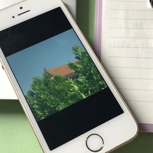 苹果5S水印相机怎么是黑屏的