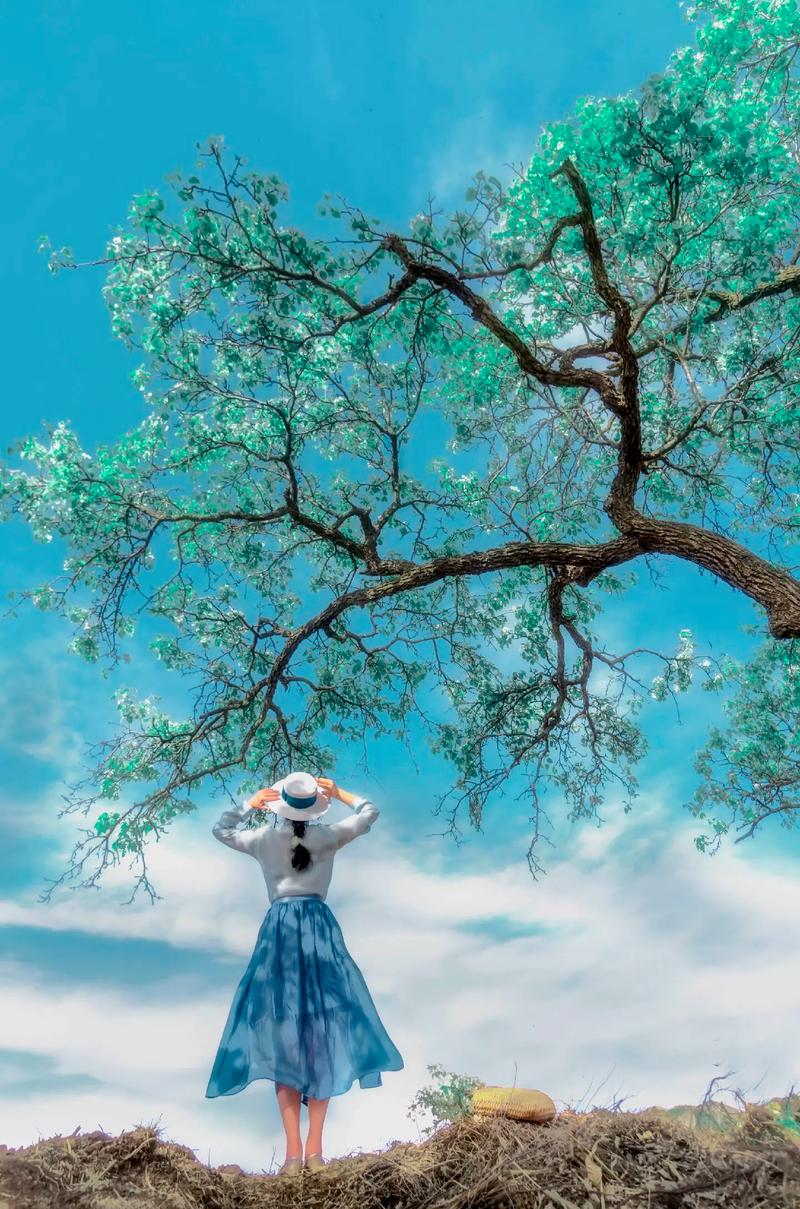 风光人像摄影技巧