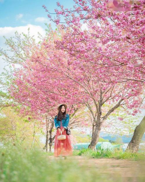 粉色背景拍照穿什么