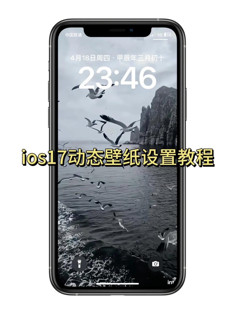 苹果手机照片换背景功能在哪