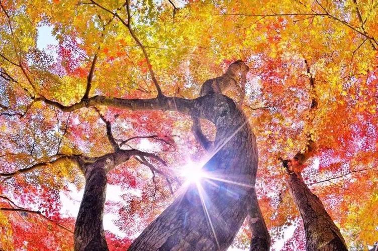 哪种拍照角度最好看