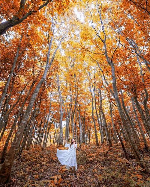 iphone手机拍照技巧