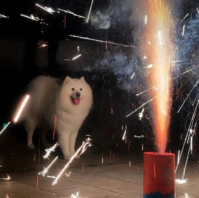 背景丨新年朋友圈背景图丨2.12