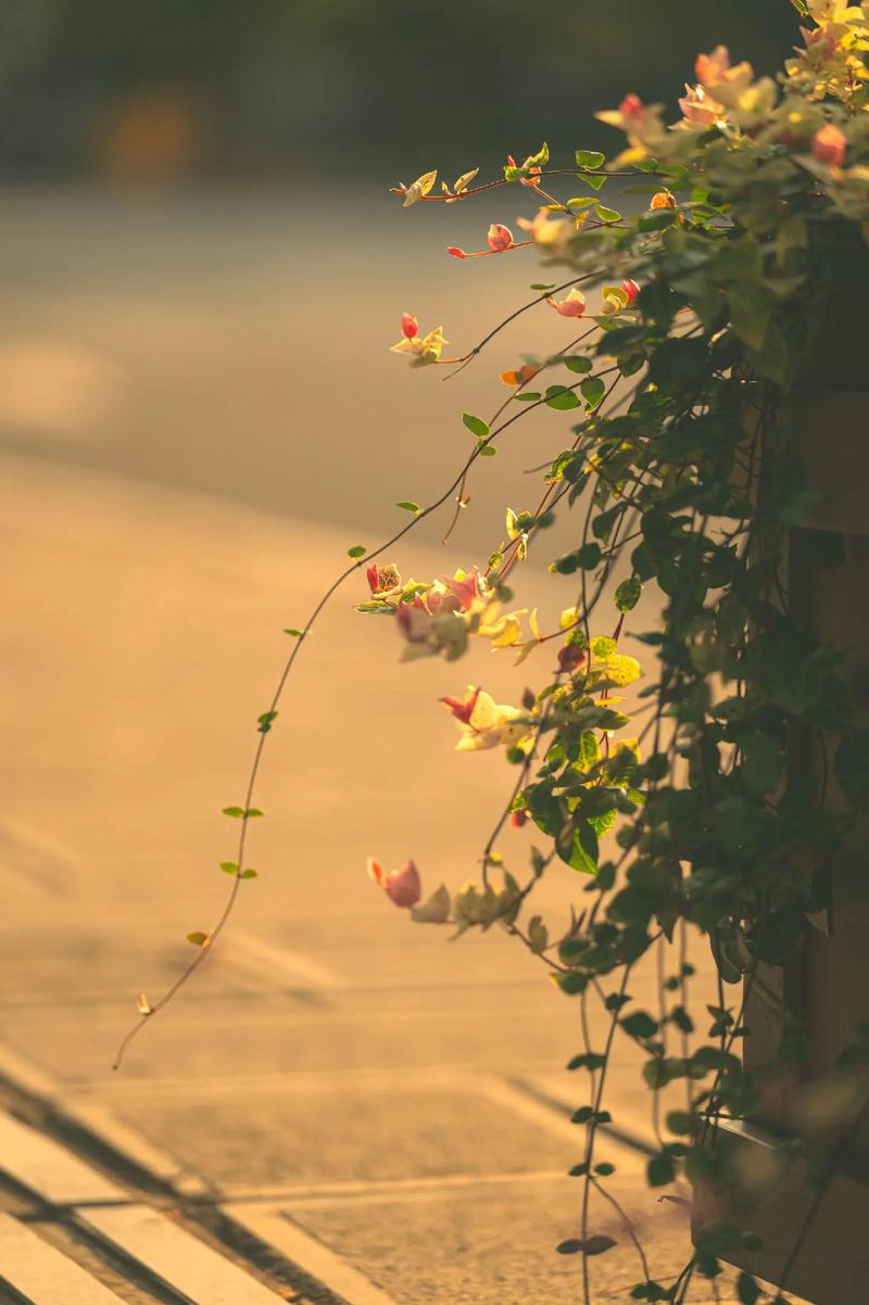 角度不同的图片观点