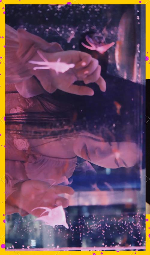 今日水印相机拍照不清晰怎么办