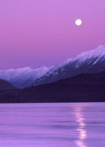 现在是不是紫色的图片