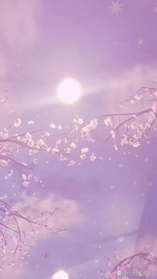 求金在中紫色背景图片