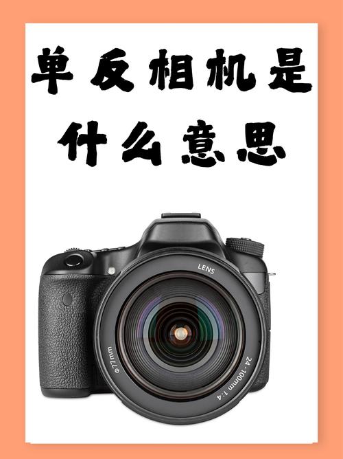 一个普通的学生有必要买单反相机吗、最近很矛盾