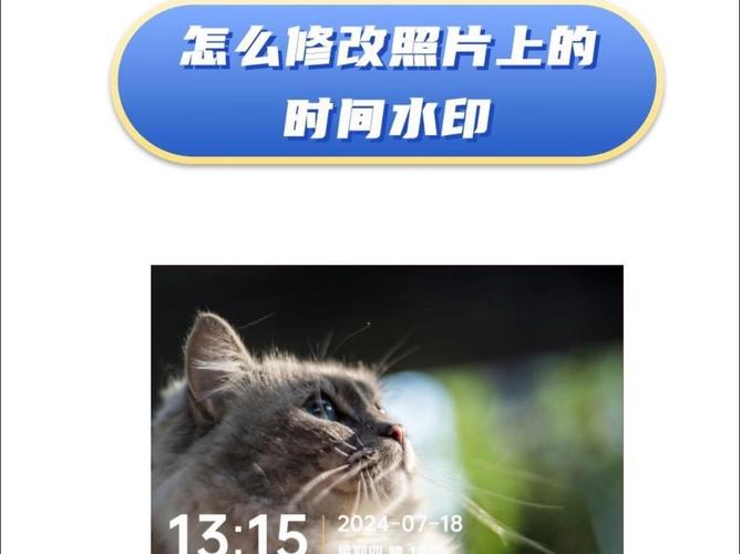 拍照能显示时间地点经纬度的相机软件有哪些