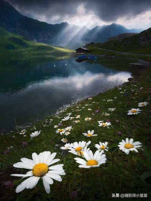 拍照最好的手机前十位