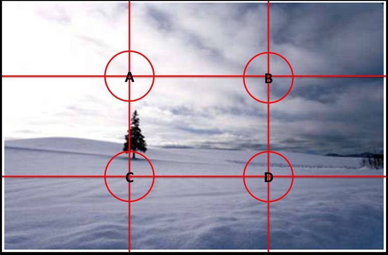 拍照构图方法和技巧视频