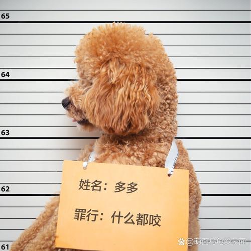 监狱拍照举牌背景图