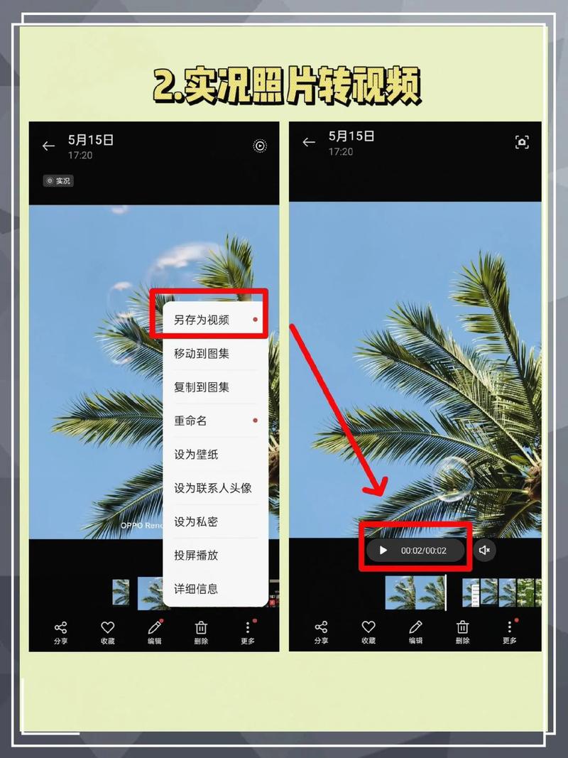 手机拍摄技巧视频教程图2