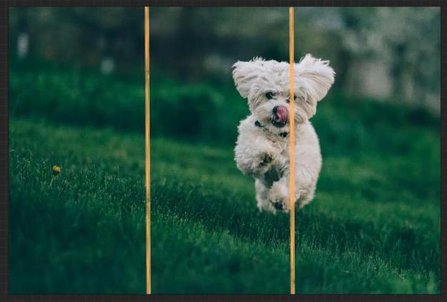 拍照构图有几种图2