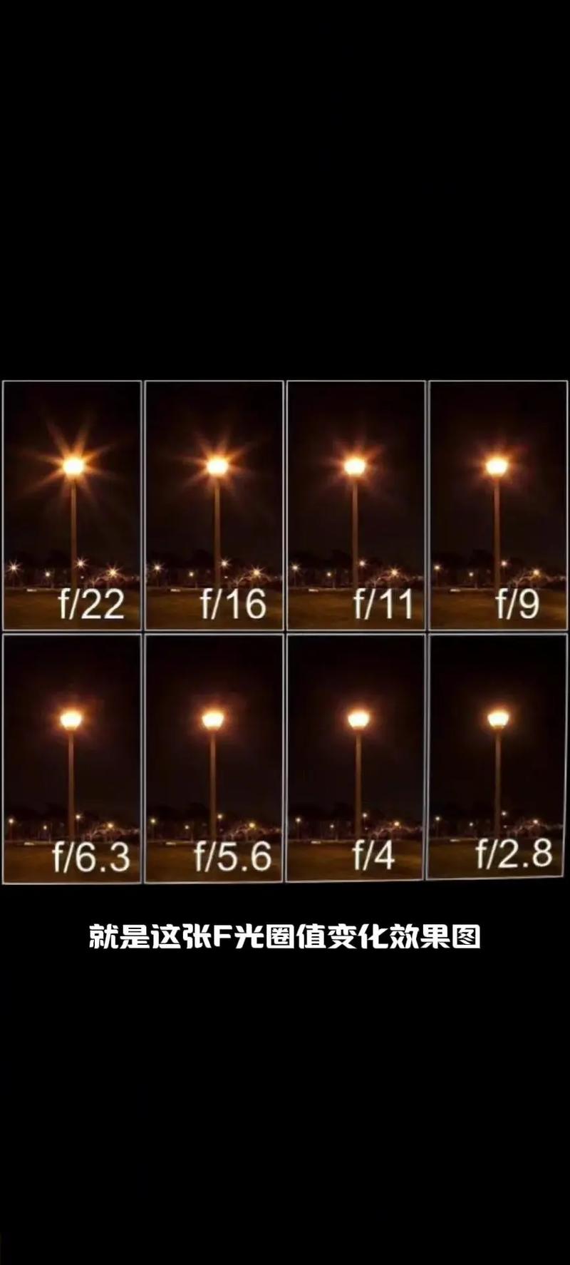 手机相机怎么虚化背景图片