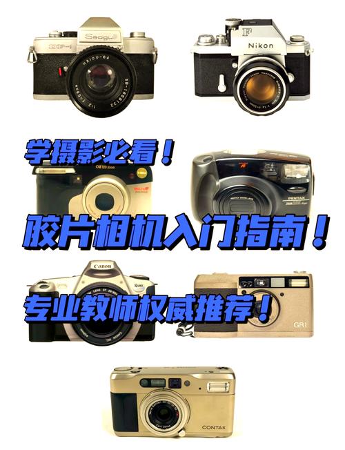 相机拍视频怎么拍好看图1