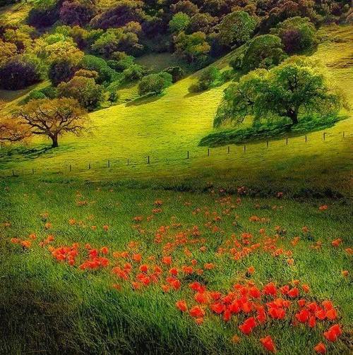 11个摄影小秘方教你拍出迷人风光作品